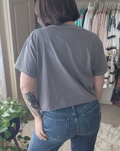 Free Bird Vintage Relaxed Crop T-shirt