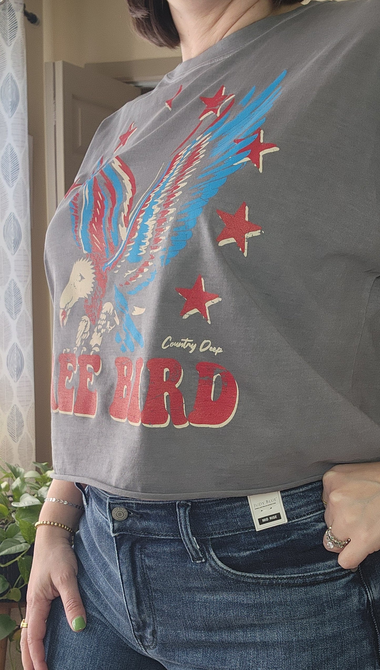Free Bird Vintage Relaxed Crop T-shirt